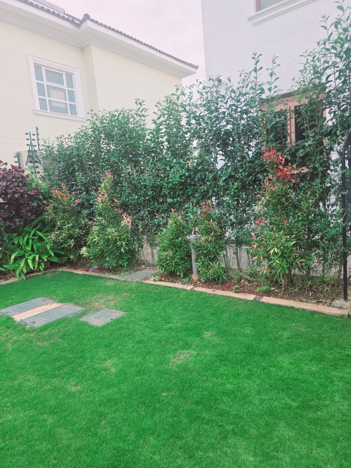 Latest residential landscaping project by Amazing Grace Landscapers