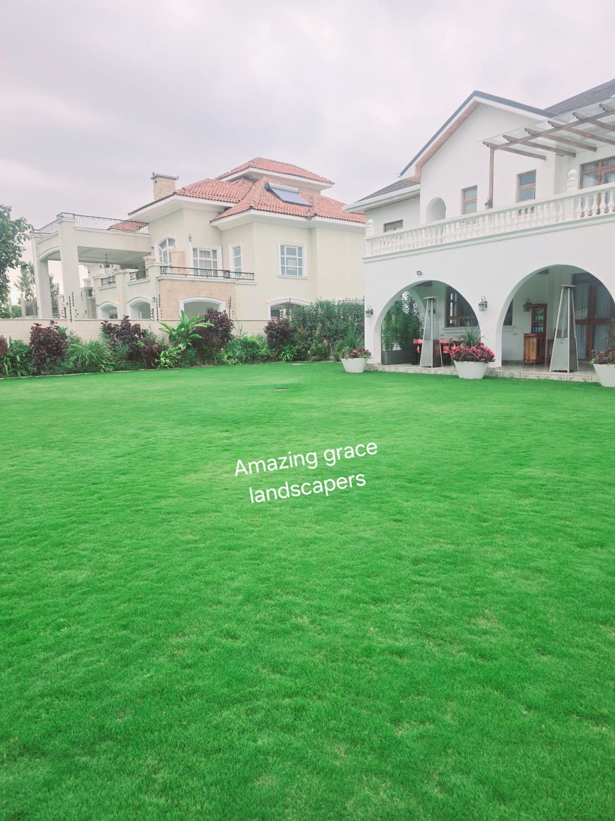 Garden renovation project