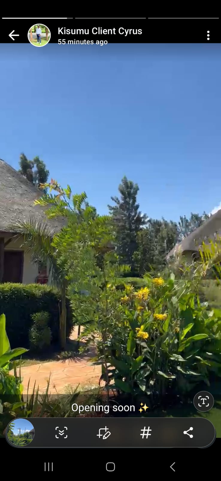 Lawn maintenance service