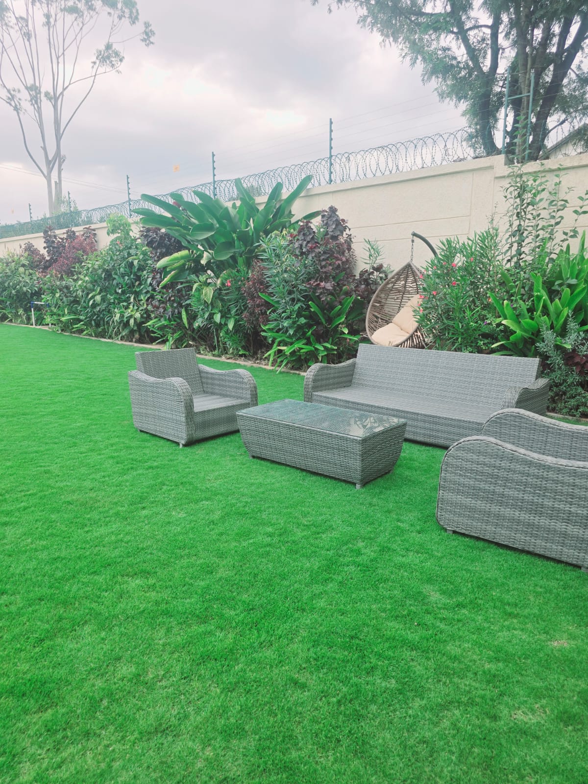 Professional lawn installation project