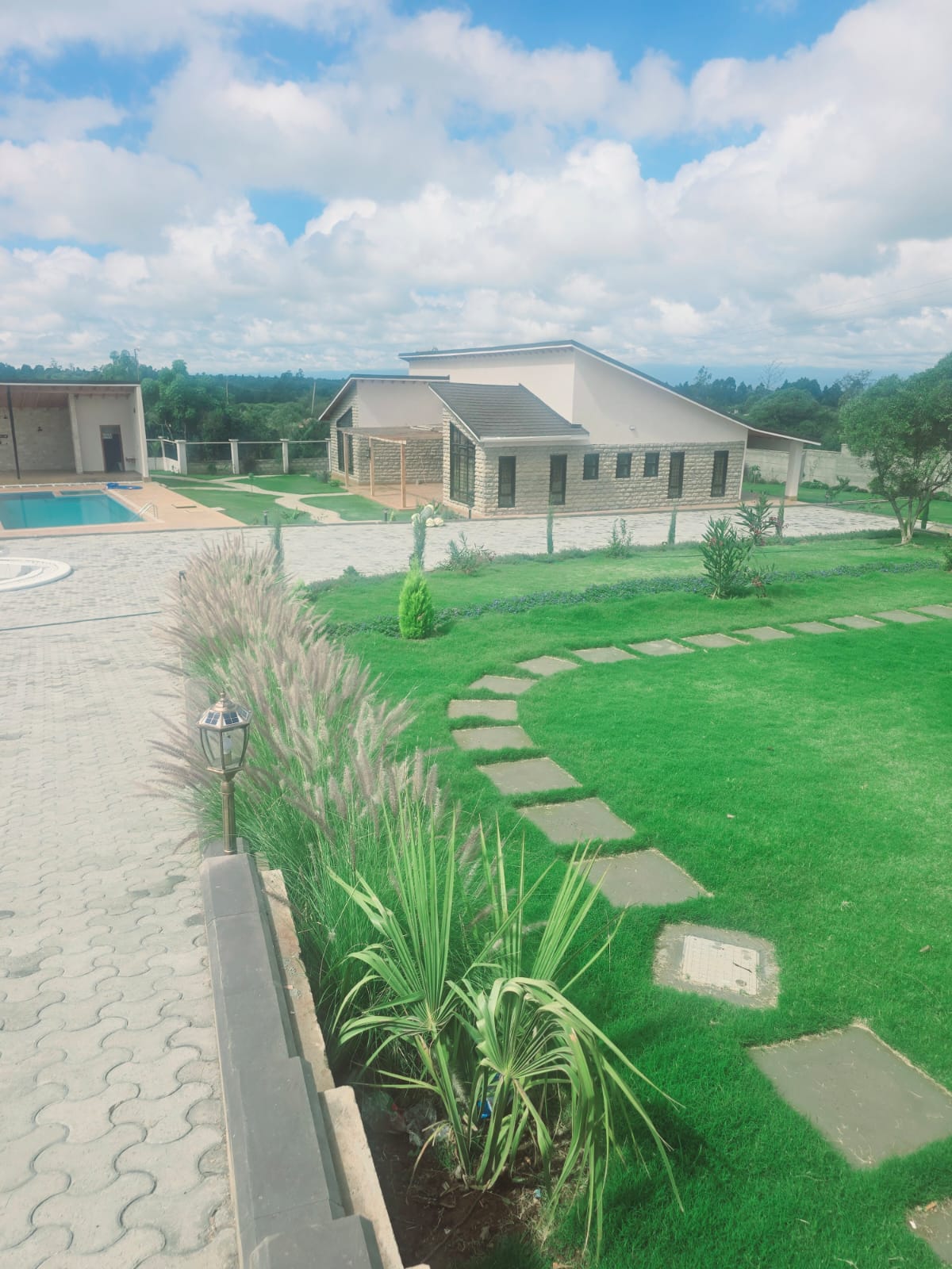 Business premises landscaping
