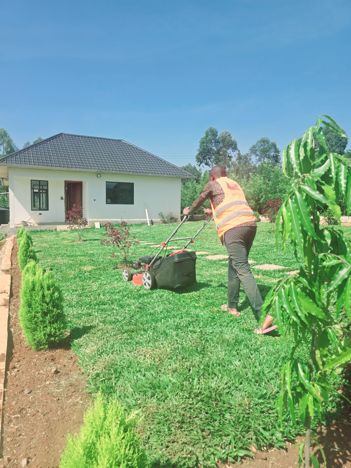 Modern residential landscaping service
