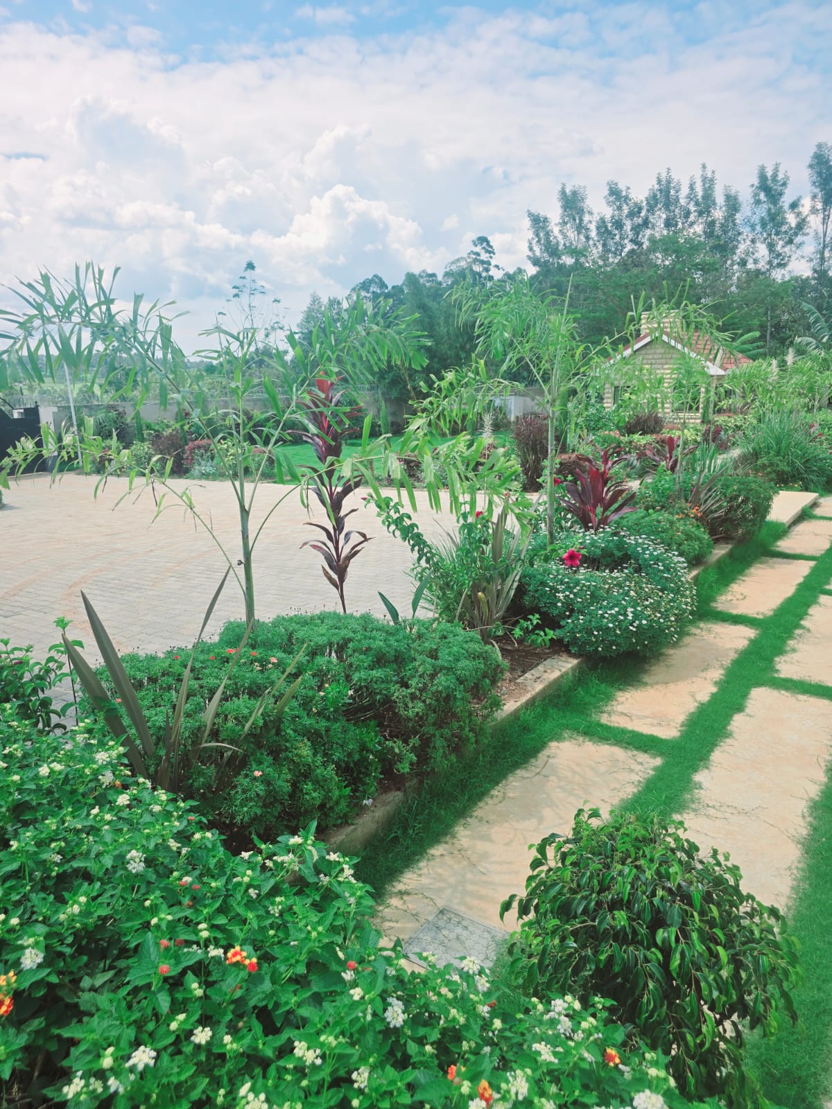 Garden improvement project